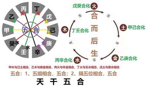 甲木 壬水|天干甲木的心性、性格全解